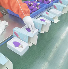 PRODUCT ASSEMBLY